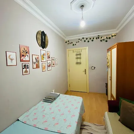 Mugo Cheap Sleeping Houses Antalya